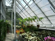 TENDE PER GIARDINI D'INVERNO